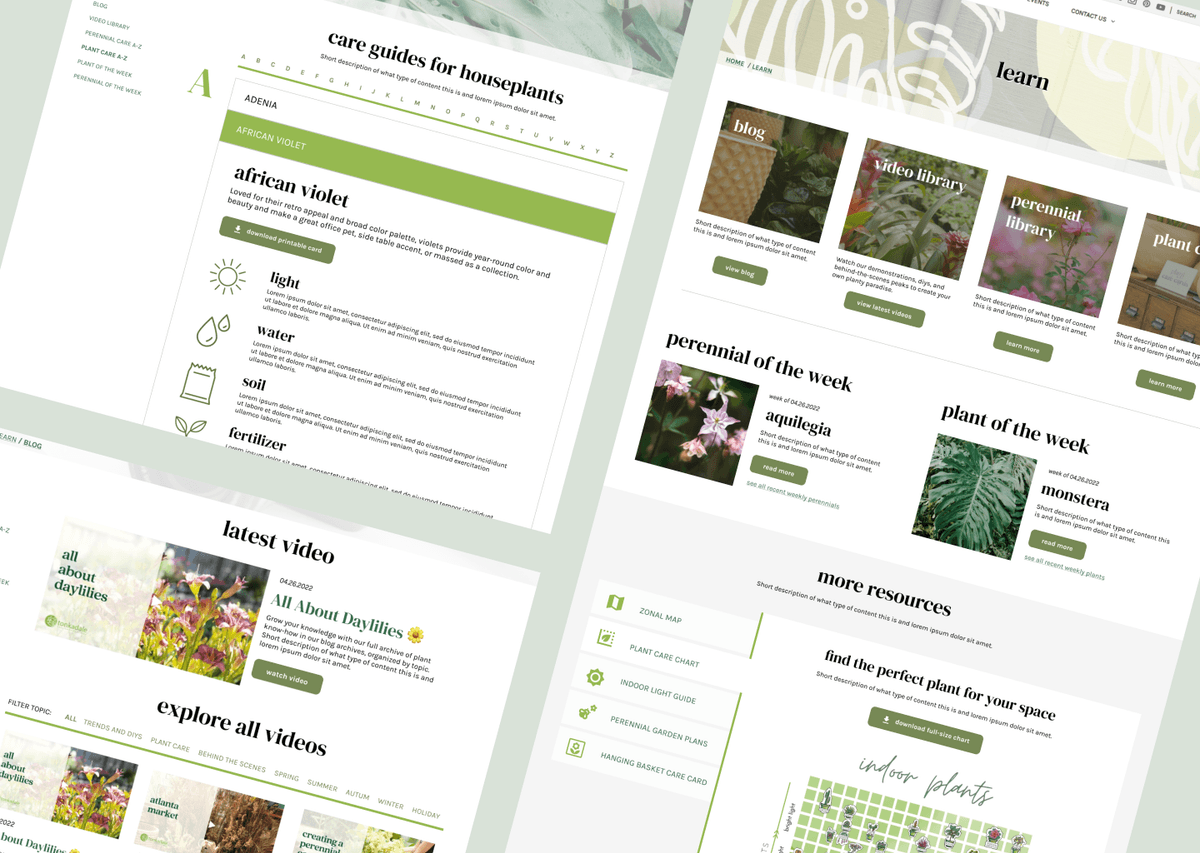 Borrow Burrow Homepage